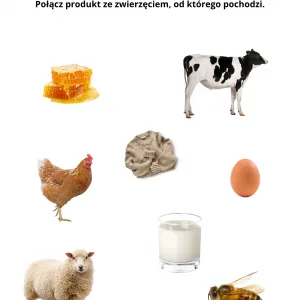 zwierzęta karty pracy